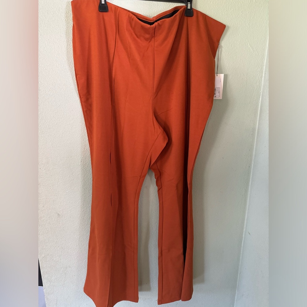 Woman’s High Rise skinny Ankle pull on pants 3X